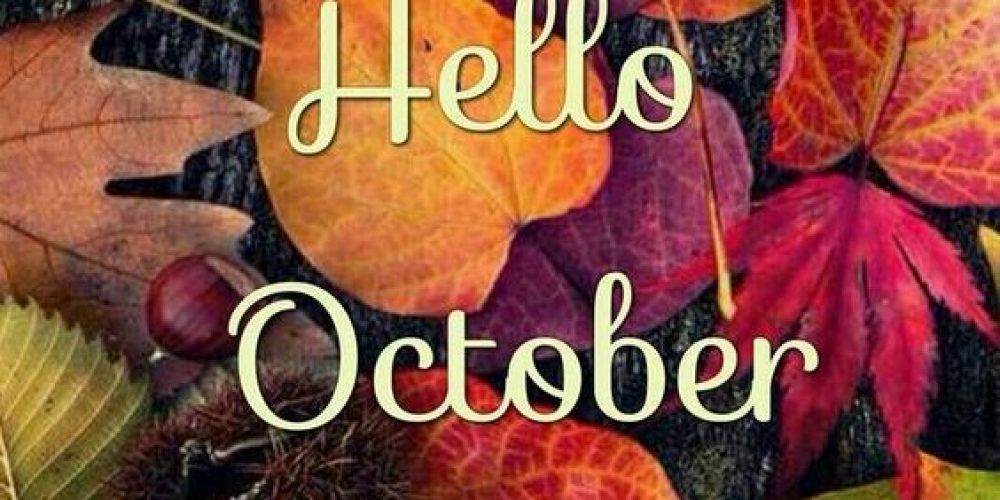 Hello Oktober